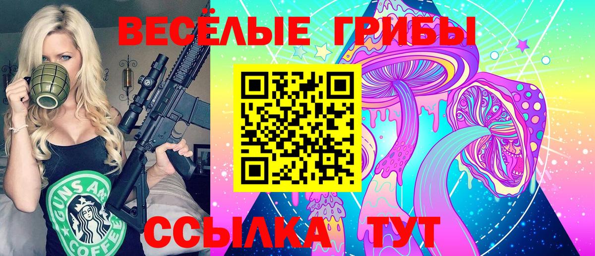 Псилоцибиновые грибы Psilocybine cubensis Дзержинский