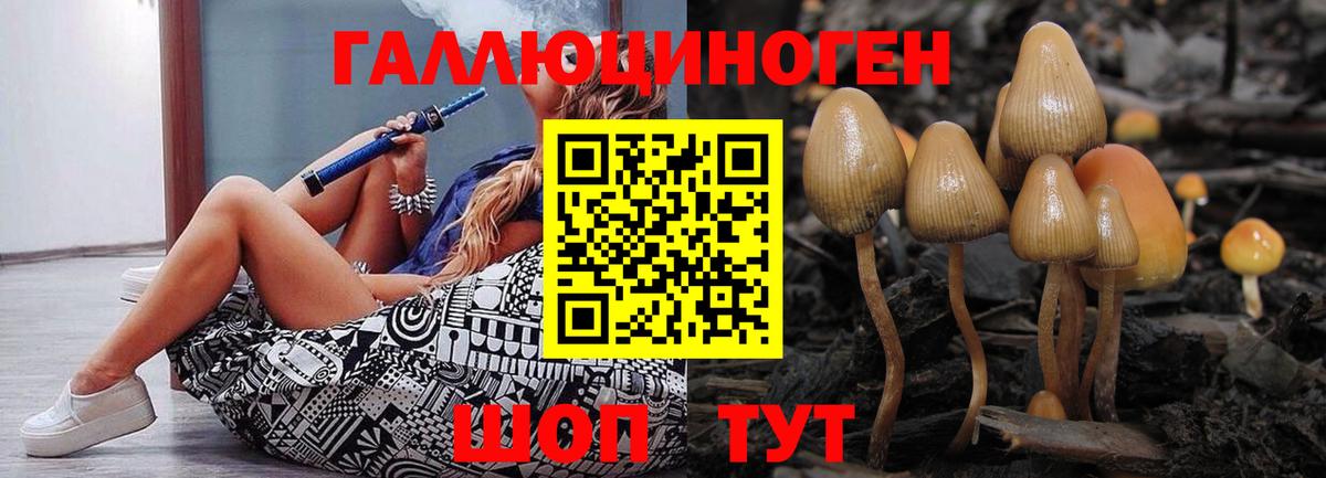 Дзержинский  Псилоцибиновые грибы Cubensis  Вход с VPN  Галлюциногенные грибы ЛСД 